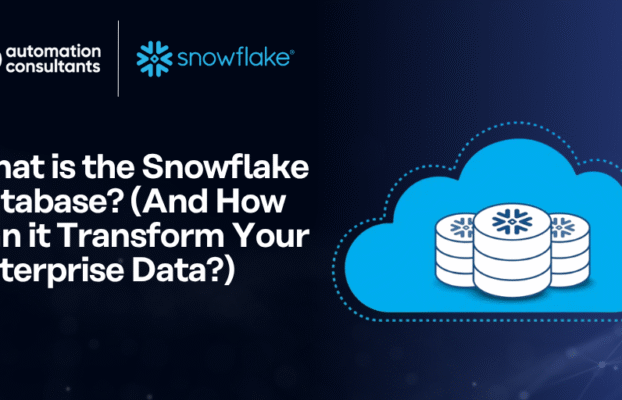 What Is the Snowflake Database? (And How Can it Transform Your Enterprise Data?)